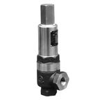 SL-8 Type, Safety Valve (Life)